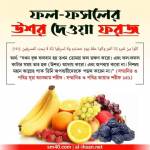 Muhammad Murad Profile Picture