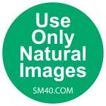 MD Moynul Islam Profile Picture