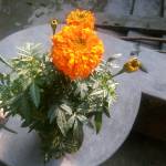 Joyel rana Joyel rana Profile Picture