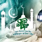 Nachihat Mubarak profile picture