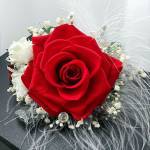 Red Rose Profile Picture