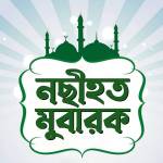 Nachihat Mubarok Profile Picture