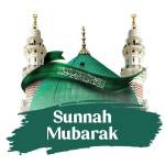 Sunnah Mubarak Profile Picture