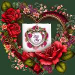 Ammajir Shahi nisbot