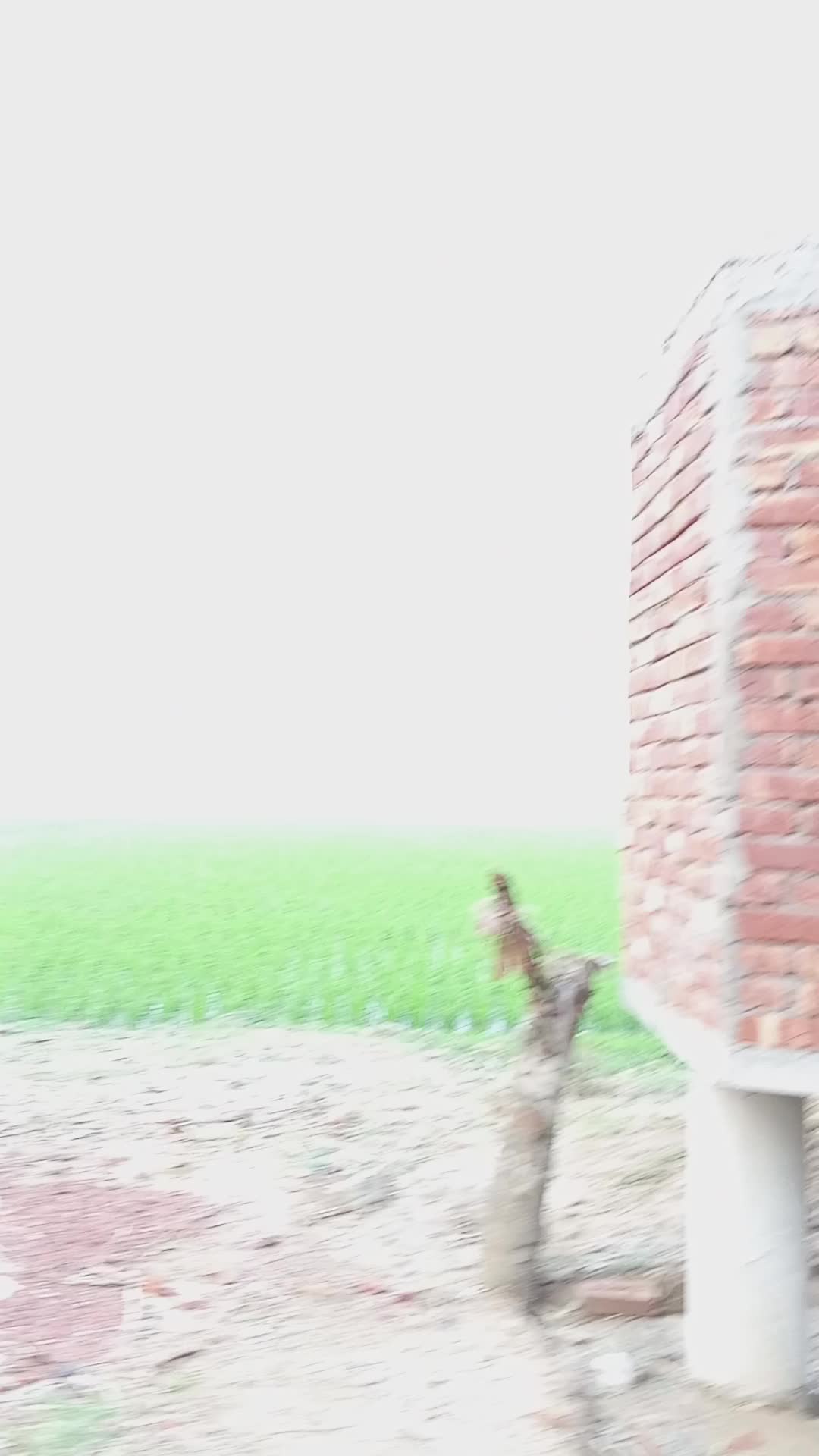 সুন্নতি জামে মসজিদ