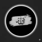 Md Reze profile picture