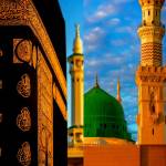মুহম্মদ শামীম রেজা profile picture