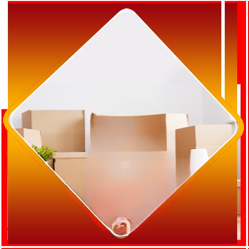 Furniture Movers in Tauranga | Furniture Removals Tauranga