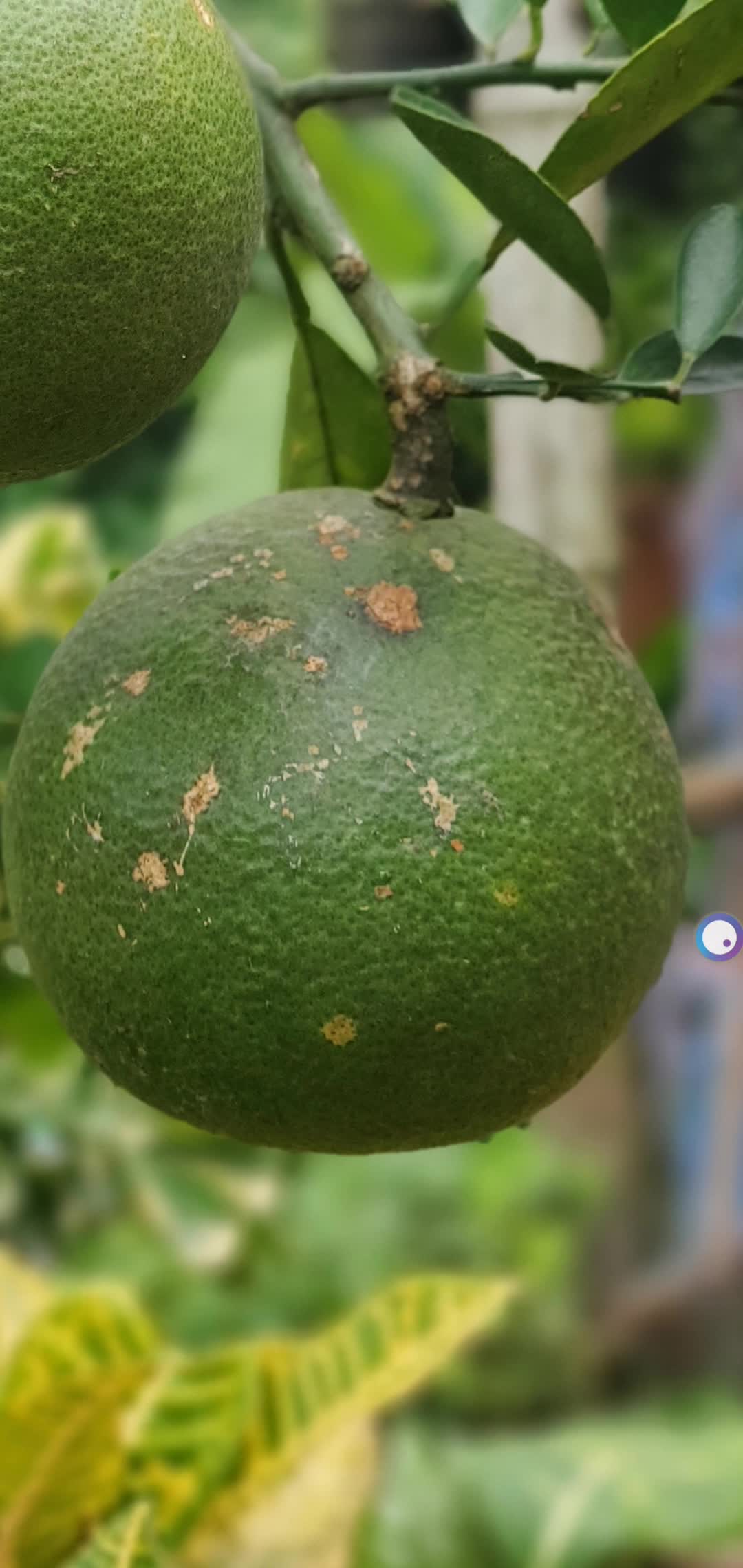 (১৮৪)📍মা বাবার সাতে যে বিয়াদবি করে তাড়া ১ নাম্বারে জাহান্নামি নাউজুবিল্লাহ - মুর্শিদ কিবলা ১-৫-১৪৪৮ হিজরী 🌙